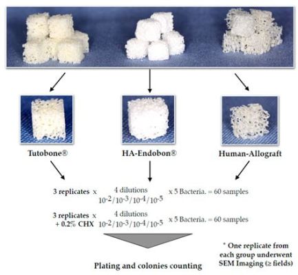  Xylitol: ยาประสานกระดูกเทียมและการใช้งานในอุตสาหกรรมอาหาร